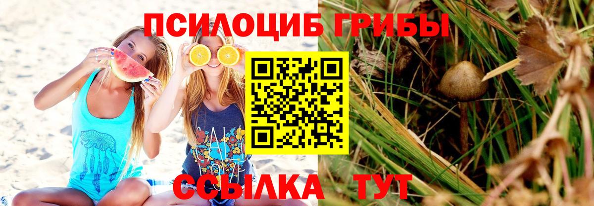 Псилоцибиновые грибы ЛСД  Псилоцибиновые грибы Cubensis  Тобольск  Вход с VPN 