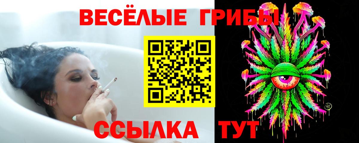 Псилоцибиновые грибы GOLDEN TEACHER Тобольск